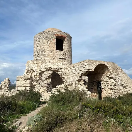 Le Corail Rouge Corse Lecci