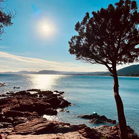 Le Corail Rouge Corse * Lecci