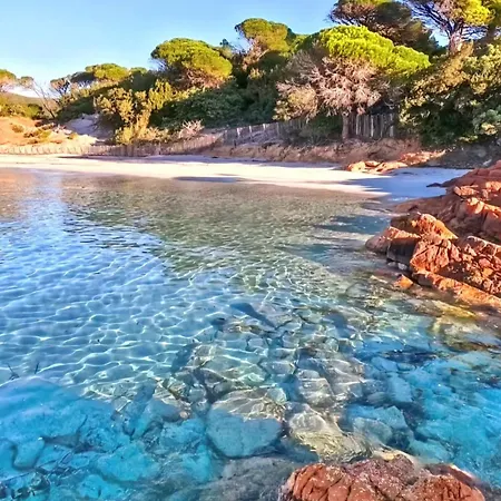 Le Corail Rouge Corse