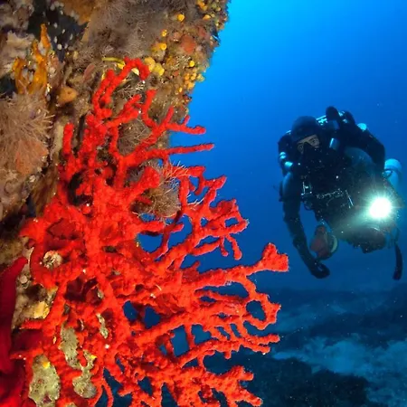 Le Corail Rouge Corse Villa *
