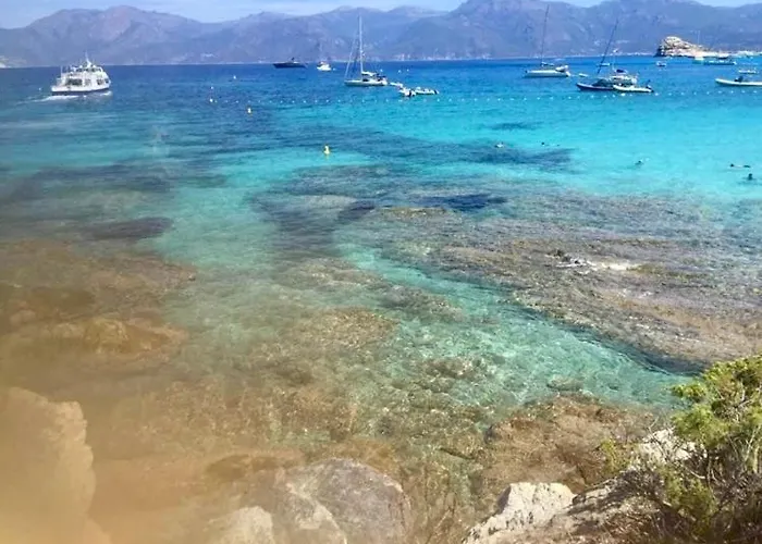 Le Corail Rouge Corse *