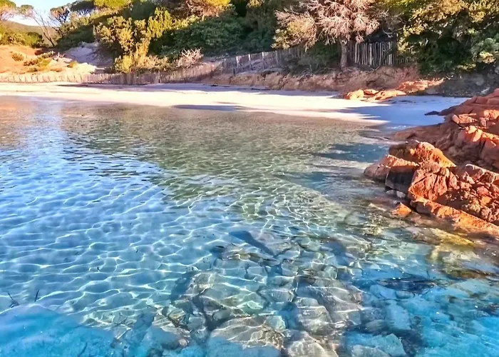 Le Corail Rouge Corse