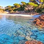 Le Corail Rouge Corse