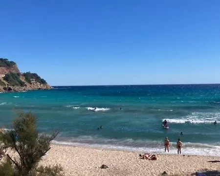 Le Corail Rouge Corse