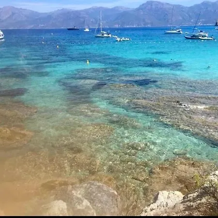 Le Corail Rouge Corse Du Sud *
