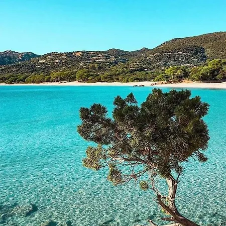 Le Corail Rouge Corse Villa
