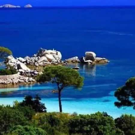 Le Corail Rouge Corse Du Sud *