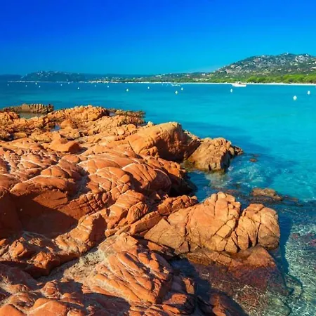 Le Corail Rouge Corse Du Sud *