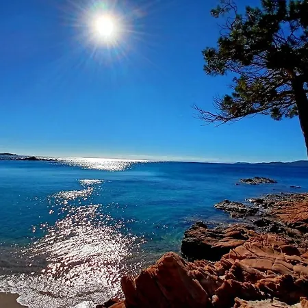 Le Corail Rouge Corse *