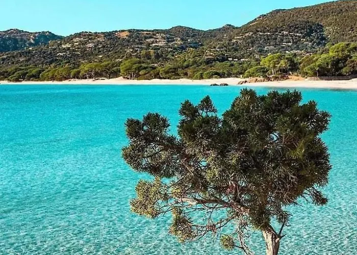 Le Corail Rouge Corse Villa