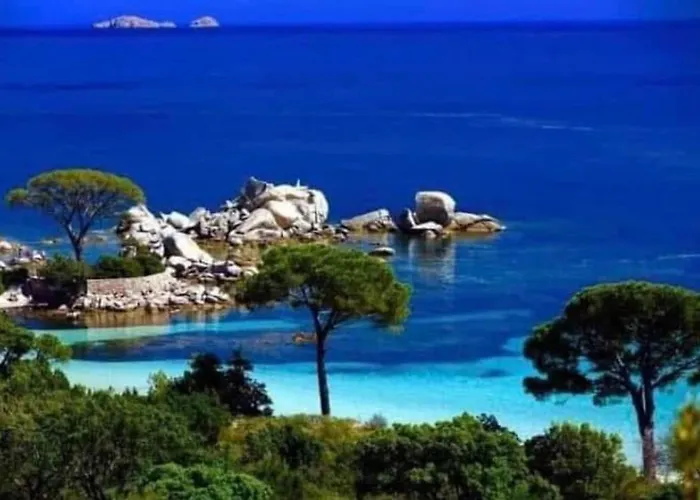 Le Corail Rouge Corse *