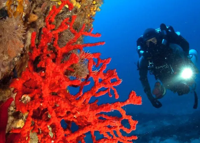 Le Corail Rouge Corse Villa *