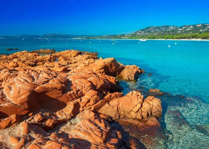 Le Corail Rouge Corse *