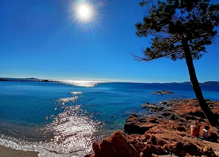 Le Corail Rouge Corse *